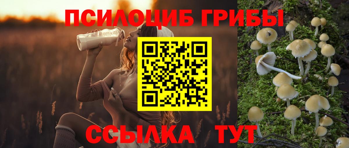 Псилоцибиновые грибы ЛСД  Вход с VPN  Шарыпово  наркота  Галлюциногенные грибы Cubensis 
